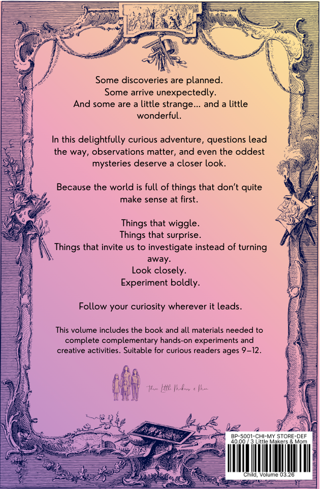 Story & Maker Subscription Box